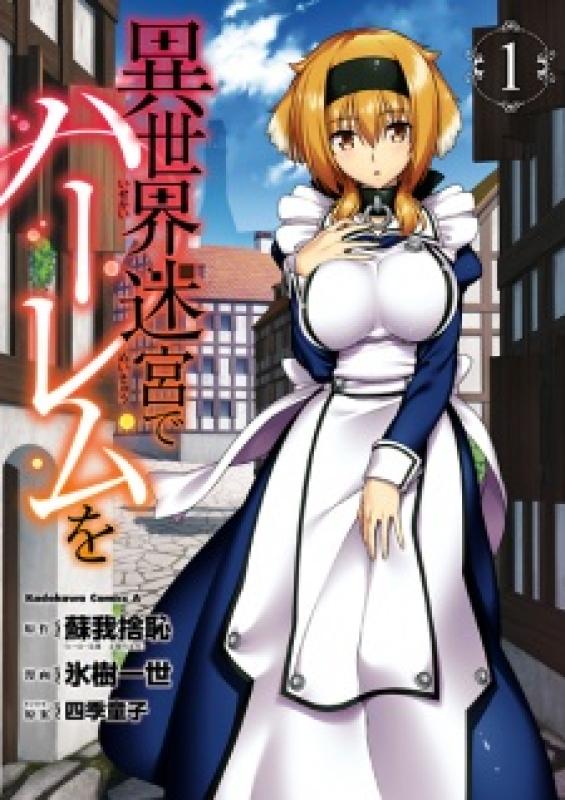 Isekai Meikyuu de Harem o