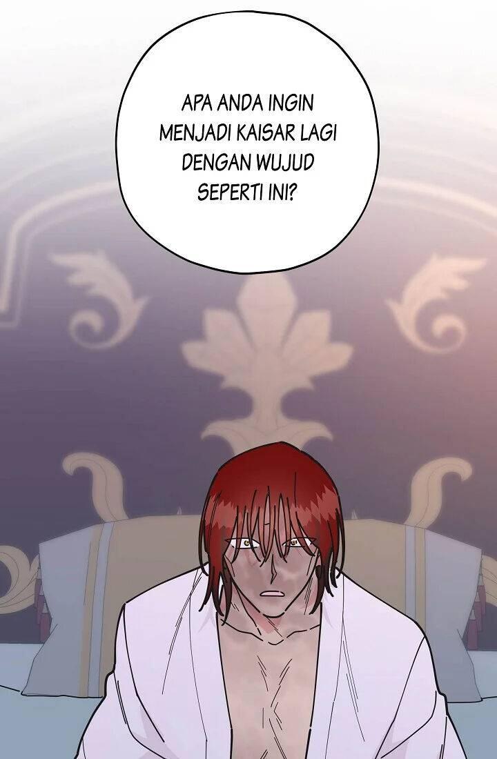 The Evil Lady's Hero Chapter 084